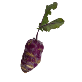 COL RABANO 1kg (ALABASH) COL RABANO 1kg (ALABASH)